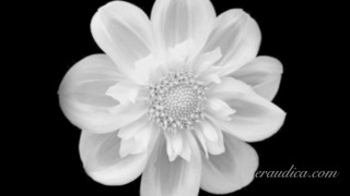 Rescue - Erotic Freeverse - Erotic Audio Performed by Eve's Garden