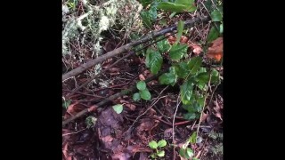 Pissing Fun on a Hike