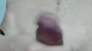 Titulo