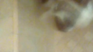 Back at it shower BBC milking 