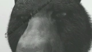 Bear in heat