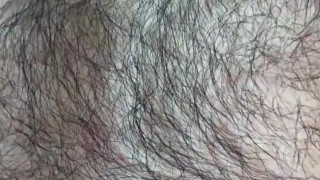 Otter wants you to play with his fur