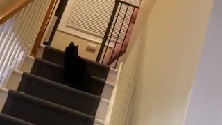 Fat girl on the steps