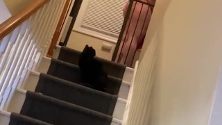 Fat girl on the steps