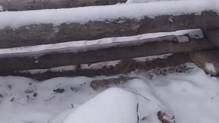 парня спалили за дрочкой в лесу