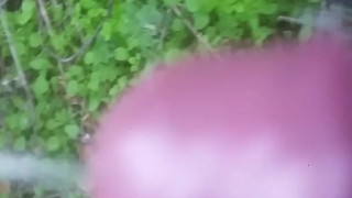 Piss walking in backyard