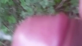 Piss walking in backyard
