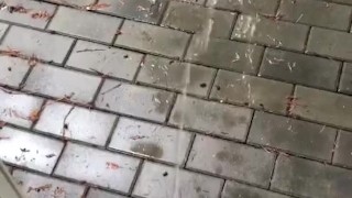Power Pissing out the back door