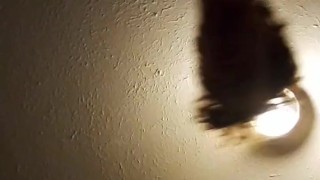 Sitting On My Camera; Upview (No Audio)