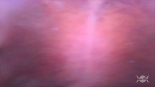 Be My Vore Valentine Free Preview