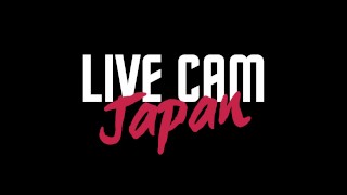 【覗き見】女子大生みか(22)の騎乗位を下から覗いたらエロすぎワロタ