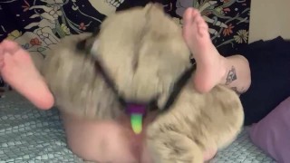Getting Fucked By My Teddy Bear (OF Preview)