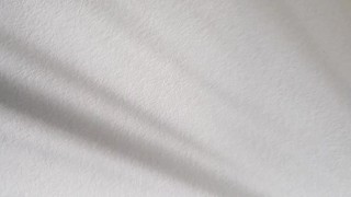 Chubby pup takes a seat