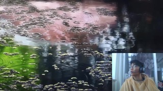 测试视频哦