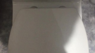 Flushing A Toilet (Portrait)
