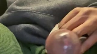 Huge Nut! The biggest yet!