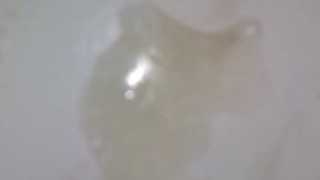 2:21am first nut quick