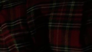 Привел школьницу в мини-юбке домой и трахнул