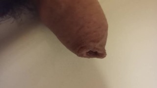 Extreme closeup pissing uncutted cock.