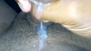 Milk hot