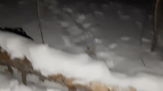 Её горячий язык согрел мою киску в тёмном, холодном лесу - lesbian_illusion