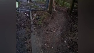 Naked in forest and on trail