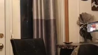 Hot fuck in the kitchen