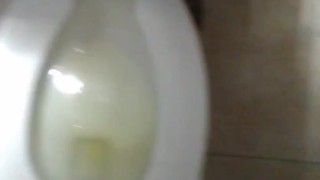 Urinating In A Stall, Again; No Audio
