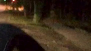 Быстрый публичный секс на автотрассе