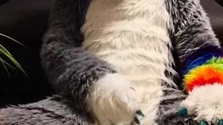 Wolf riding bad dragon dildo with huge cumshot at the end