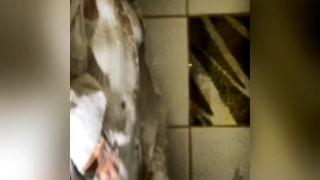 Мастурбация в душе