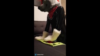 Rubber wolf fucking dragon muzzle