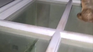 Anal dildo outside 