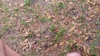 Just a tease of me stroking my cock in public