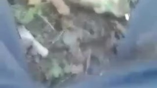 Me jalo la VERGA en el MONTE