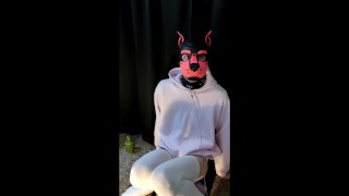 Locked pup plays with his toys and makes a mess