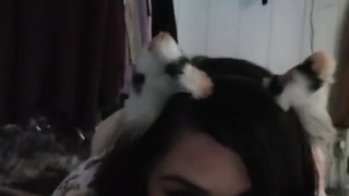 BBW submissive Neko girl xxkittens Pov blowjob with nipple clamps & collar being a good pet cumslut