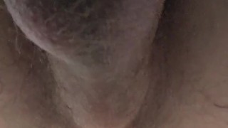 First time with my new dog dildo
