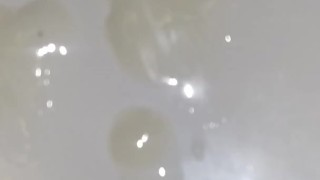 Saturday this morning quick nut in the sink