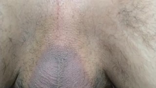 Apple Anal Fart Training