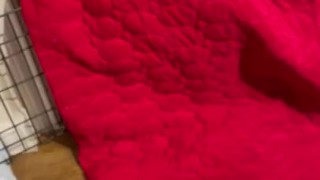 Latino masturbation orgasm