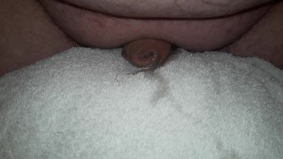 Chibby small dick pillow humping cum