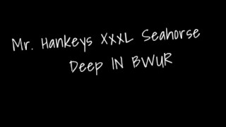 Bwur takes on Hankeys Toy XXXL Seahorse 