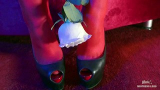 Mistress Legs In Red Shiny Pantyhose Play With Rose