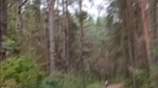 Снимаю свои сиськи на телефон в парке где гуляют люди