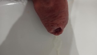 Extreme closeup, foreskin pissing