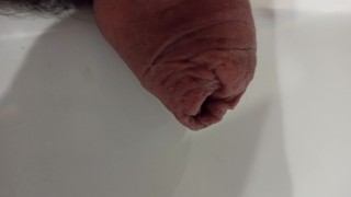 Extreme closeup, foreskin pissing