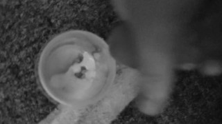 load #2 slave is told to cum a second time in cup and keep it in freezer for his owner
