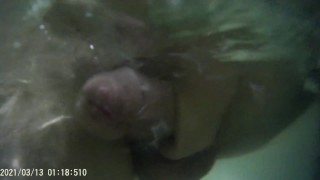 sperm under the water