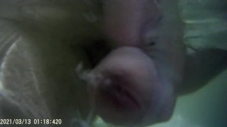 sperm under the water